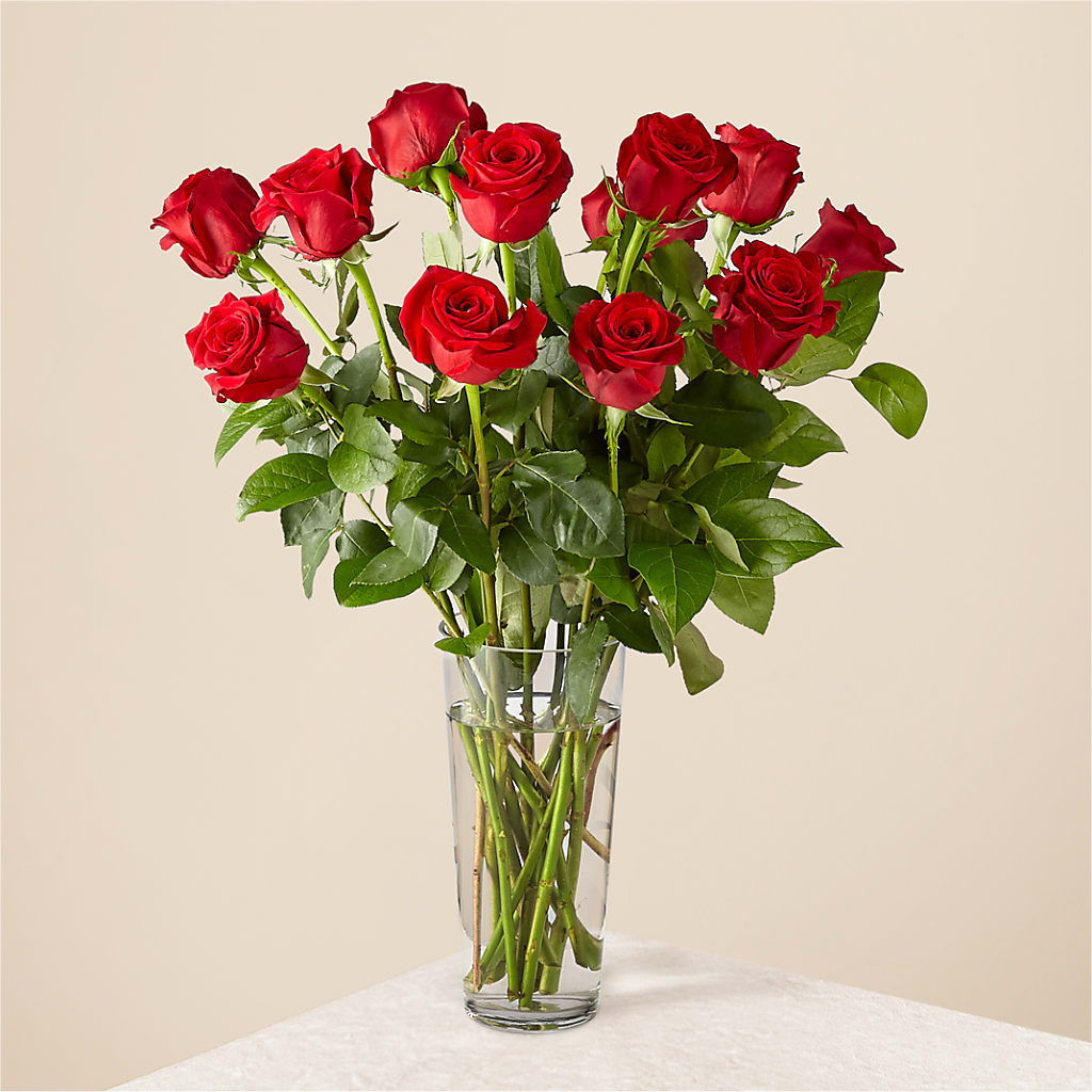 Long Stem Red Rose Bouquet – Pleasant Acres Nursery, Inc., Westerly RI