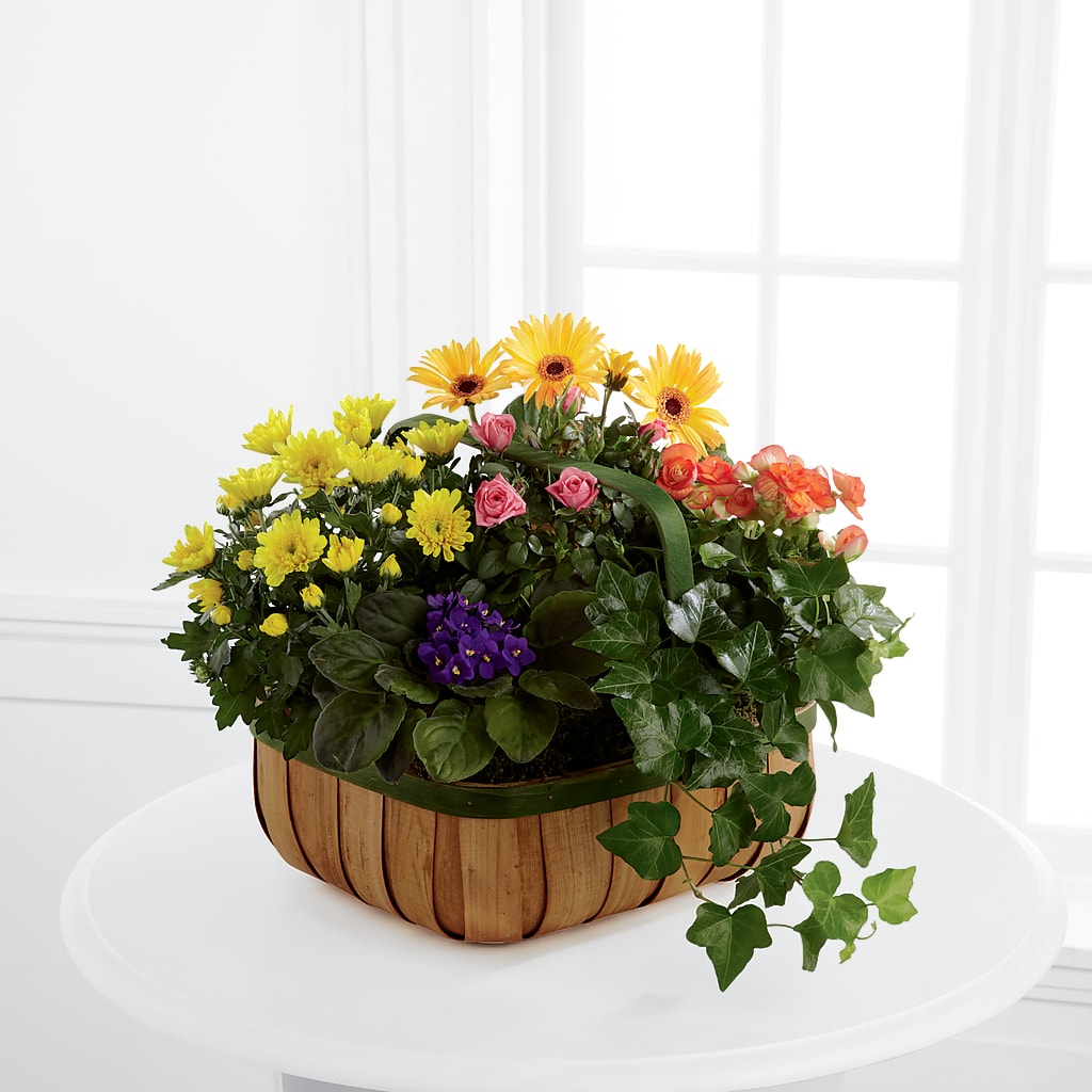 Gentle Blossoms Basket – Pleasant Acres Nursery, Inc., Westerly RI
