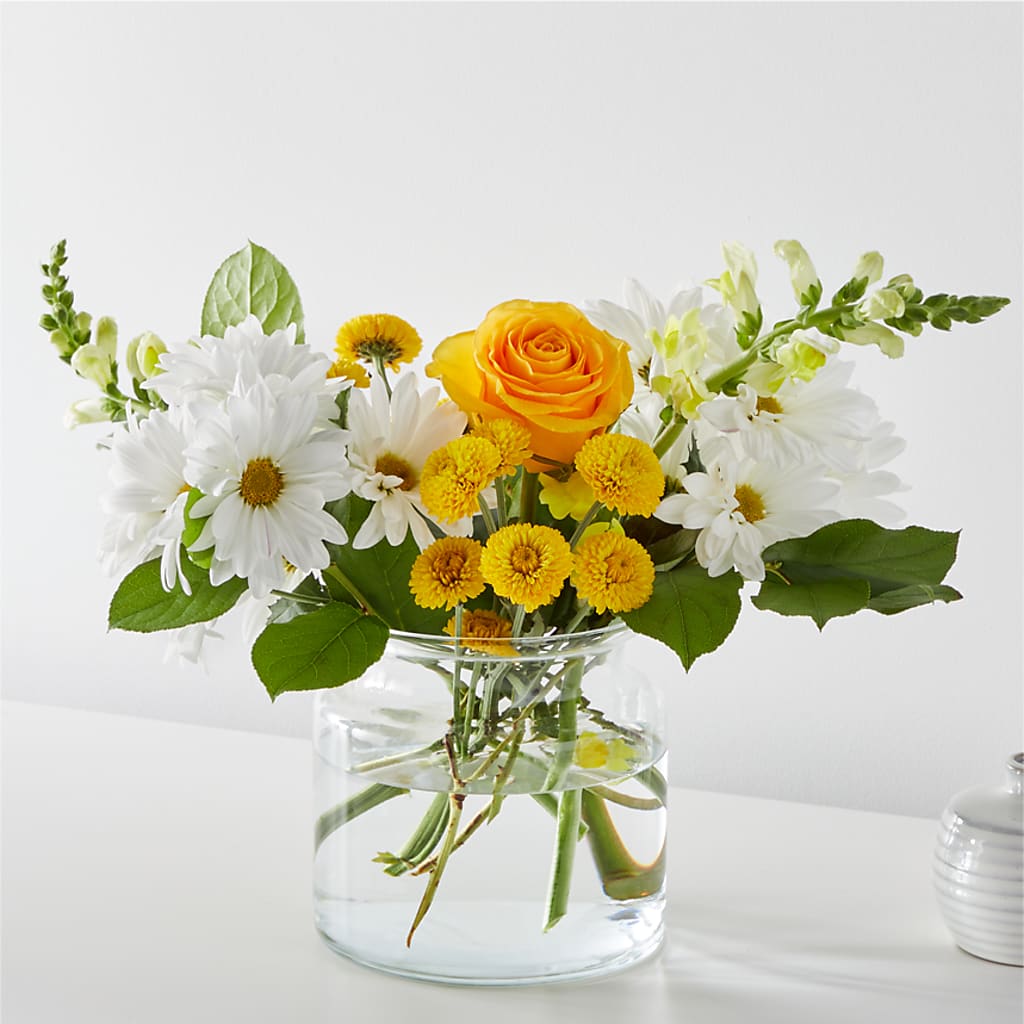 Sun Salutation Bouquet – Pleasant Acres Nursery, Inc., Westerly RI