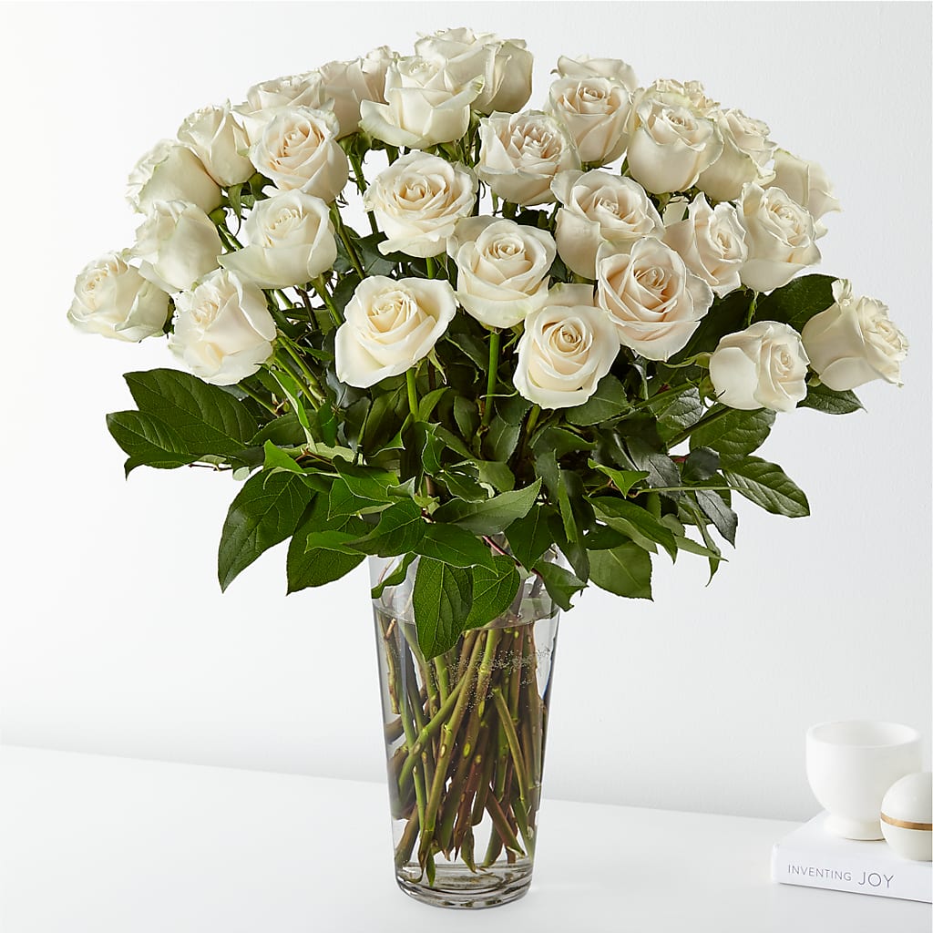 Long Stem White Rose Bouquet – Pleasant Acres Nursery, Inc., Westerly RI