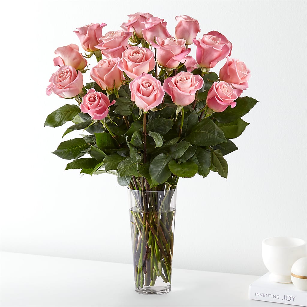 Long Stem Pink Rose Bouquet – Pleasant Acres Nursery, Inc., Westerly RI