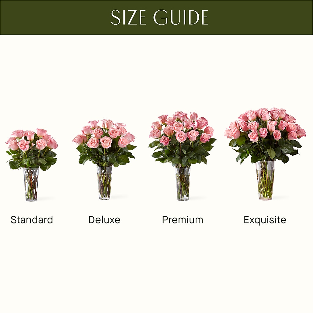 Long Stem Pink Rose Bouquet – Pleasant Acres Nursery, Inc., Westerly RI