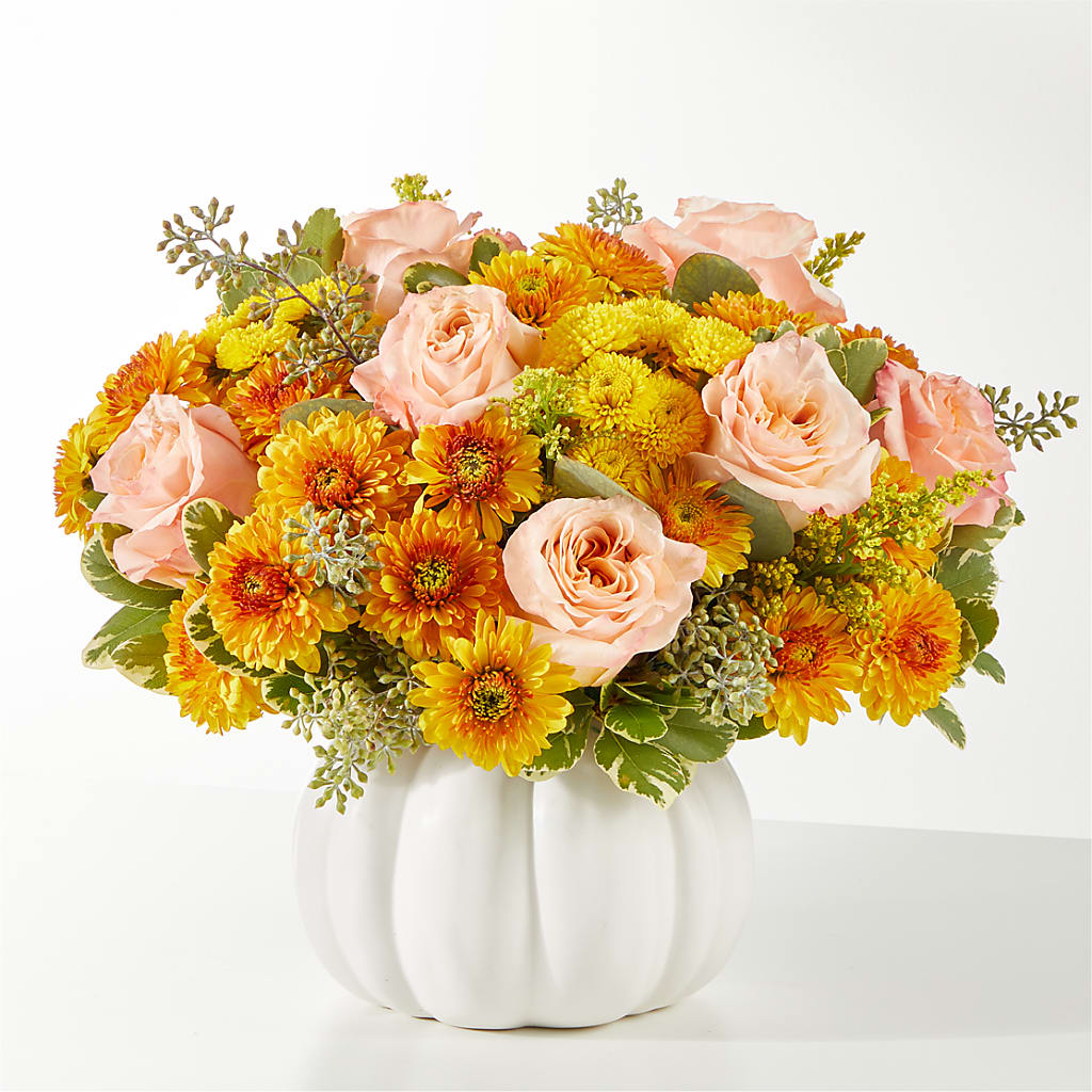 Peachy Pumpkin – Pleasant Acres Nursery, Inc., Westerly RI