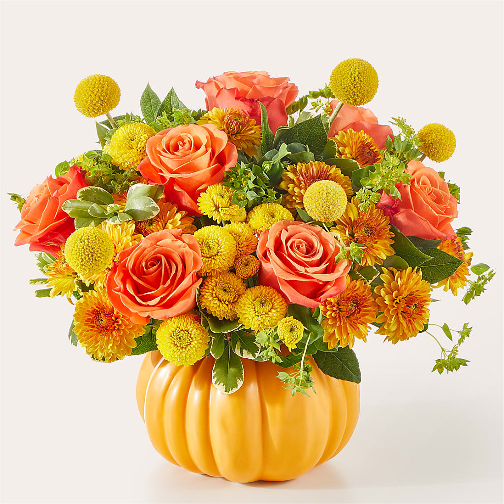 Gourdgeous Pumpkin – Pleasant Acres Nursery, Inc., Westerly RI