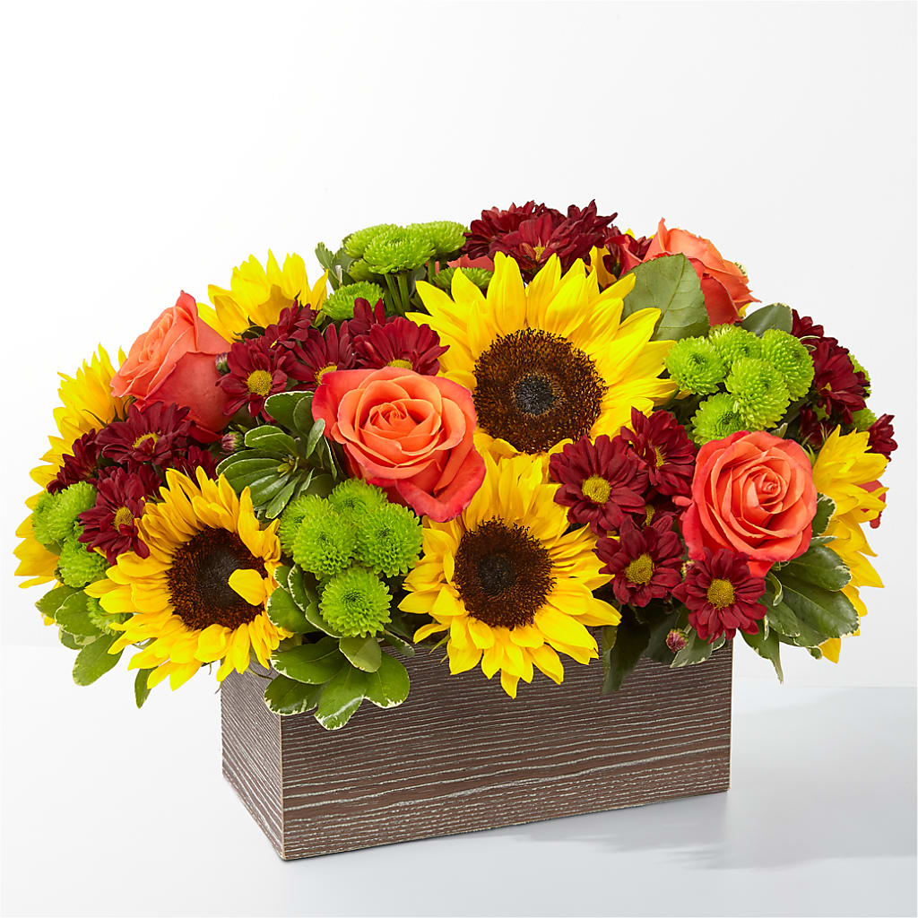 Happy Harvest Garden – Pleasant Acres Nursery, Inc., Westerly RI
