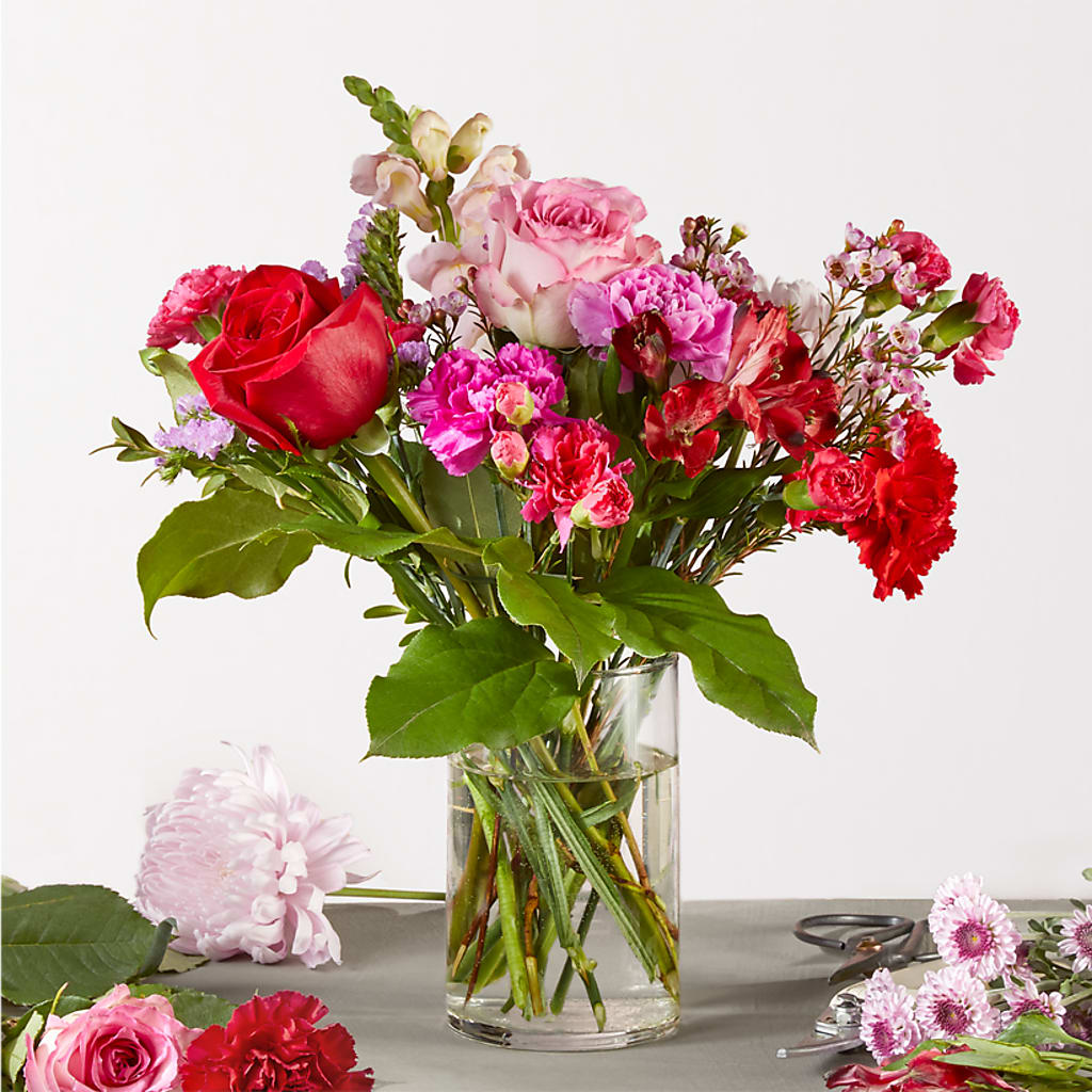 Regal Jewel – A Florist Original – Pleasant Acres Nursery, Inc., Westerly RI