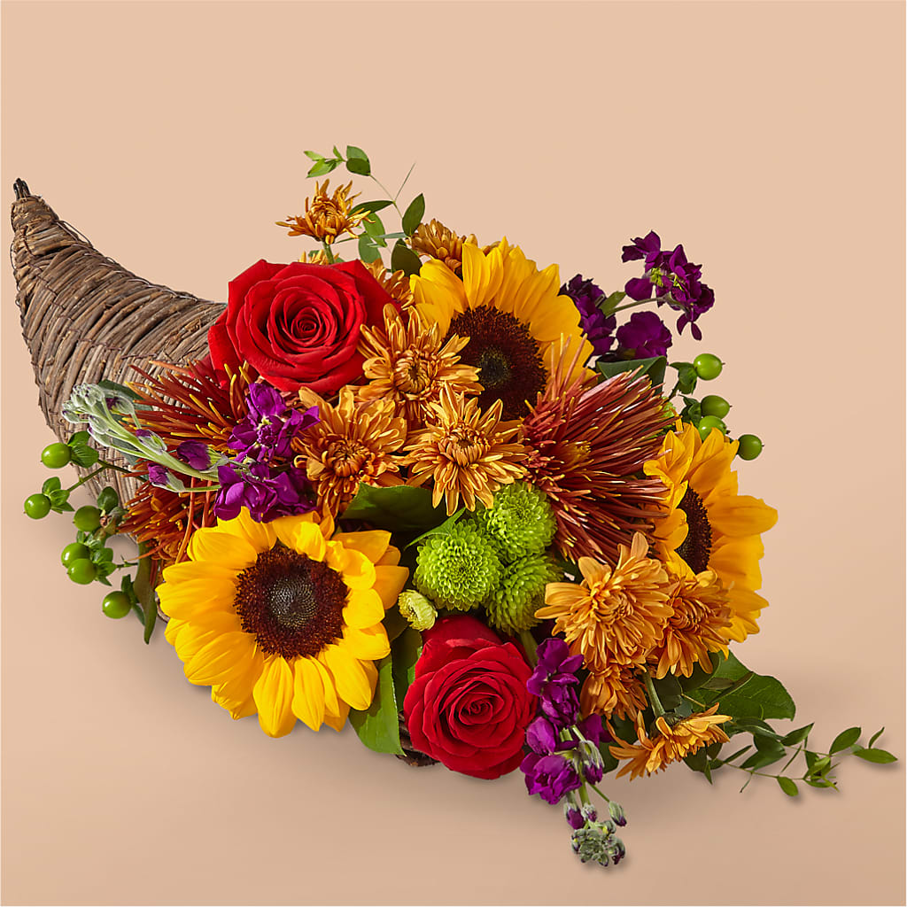 Friendsgiving Cornucopia – Pleasant Acres Nursery, Inc., Westerly RI