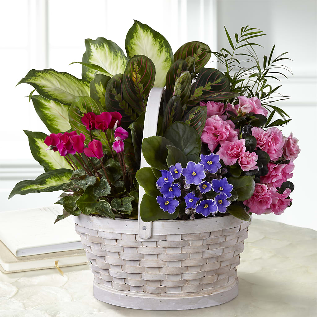 Peaceful Garden Planter – Pleasant Acres Nursery, Inc., Westerly RI