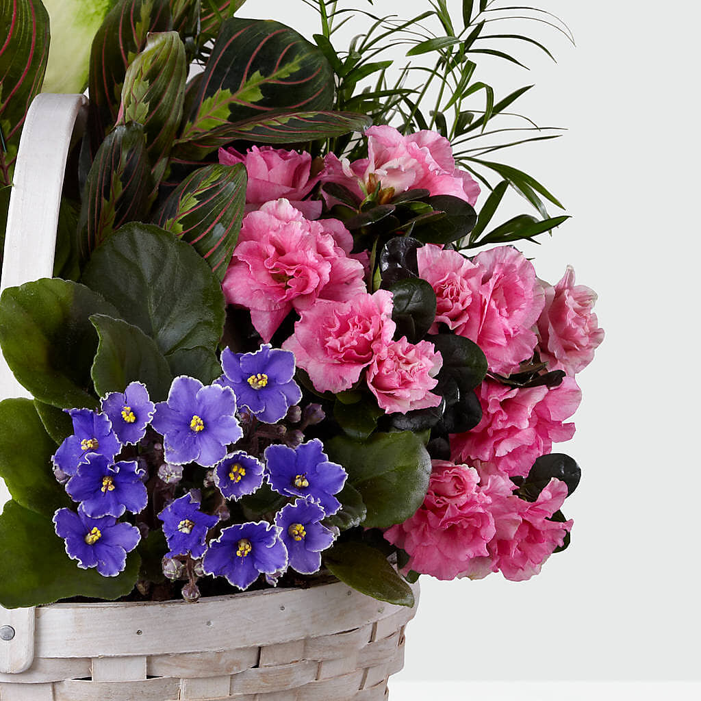 Peaceful Garden Planter – Pleasant Acres Nursery, Inc., Westerly RI
