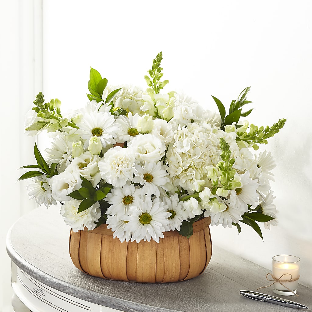 Pure Ivory Basket – Pleasant Acres Nursery, Inc., Westerly RI