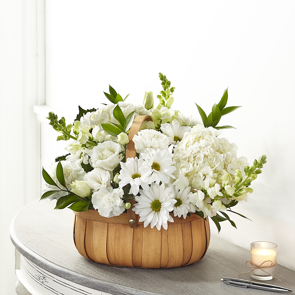 Pure Ivory Basket – Pleasant Acres Nursery, Inc., Westerly RI