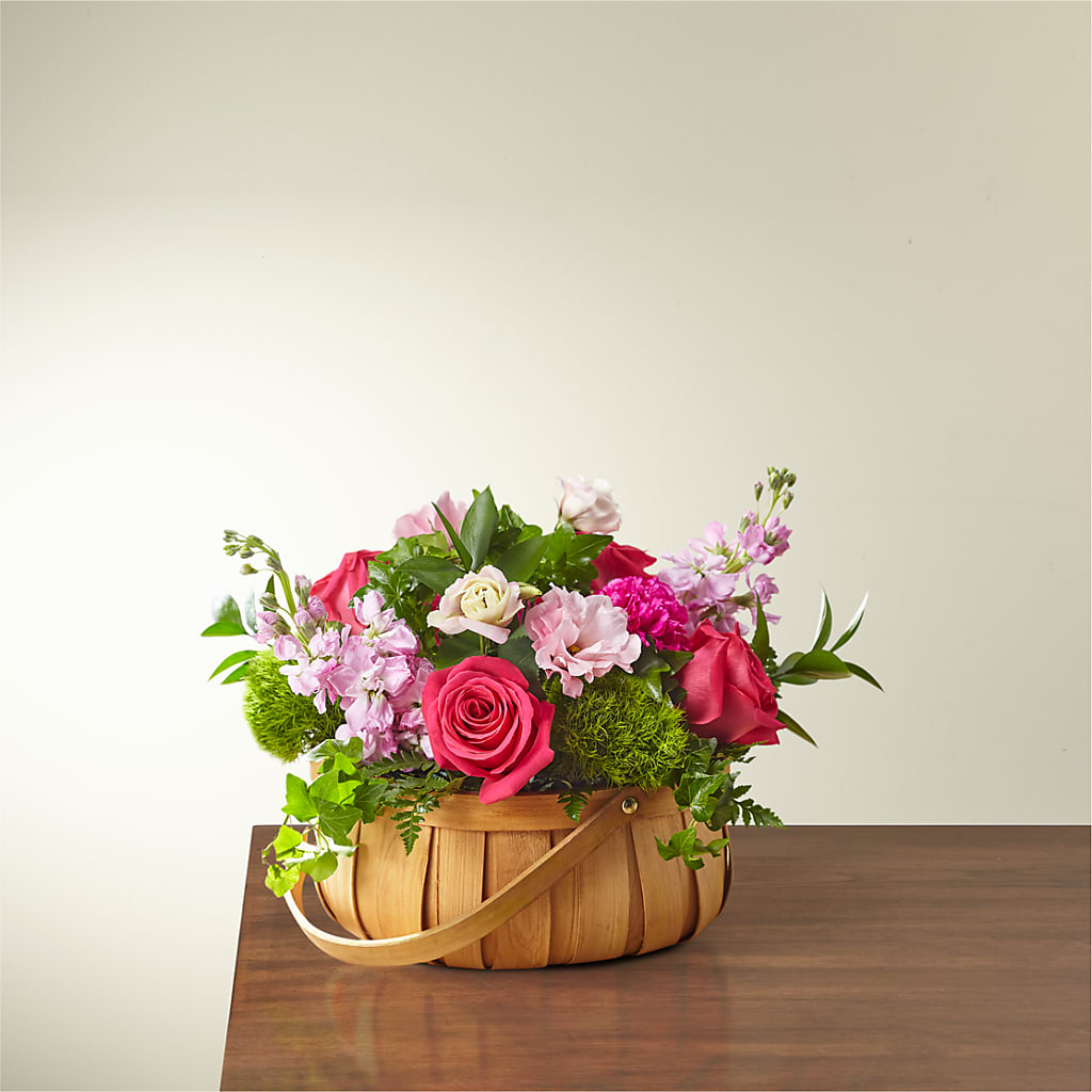 Radiance in Bloom Basket – Pleasant Acres Nursery, Inc., Westerly RI