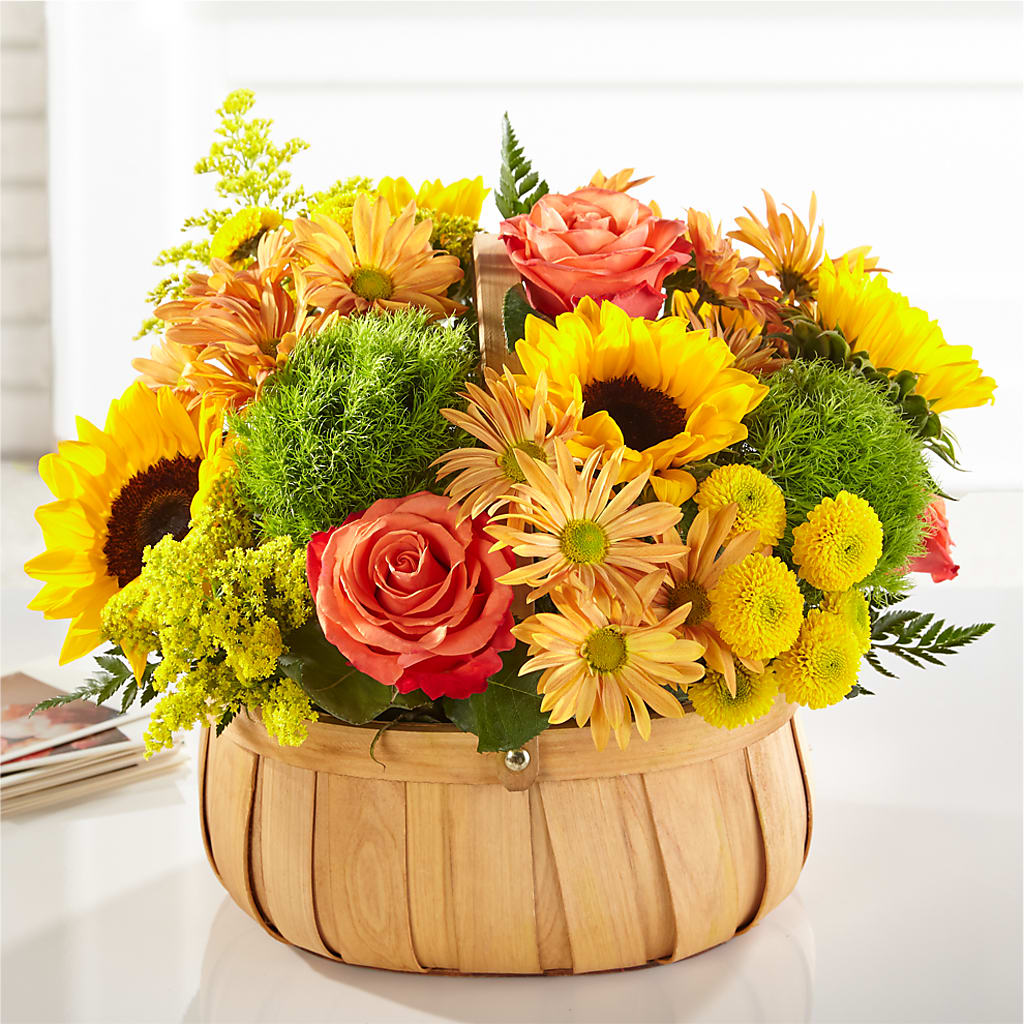 Harvest Sunflower Basket – Pleasant Acres Nursery, Inc., Westerly RI