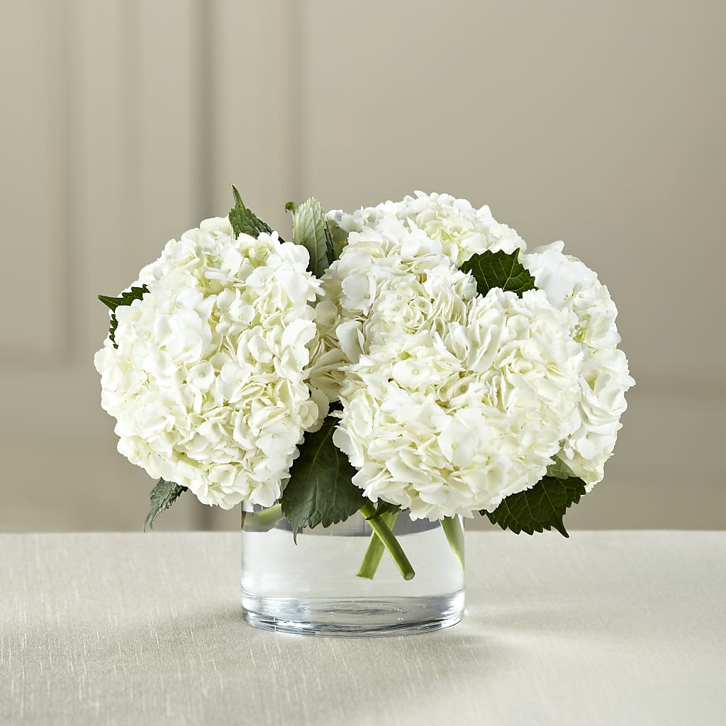 White Hydrangea Bouquet – Pleasant Acres Nursery, Inc., Westerly RI