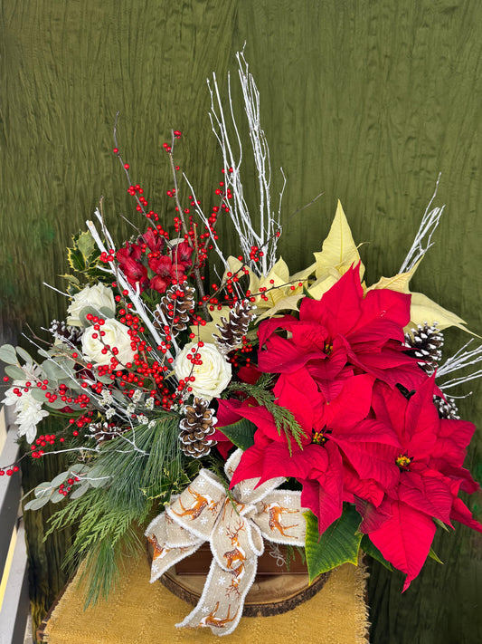 Grand Holiday Gesture Poinsettia Garden