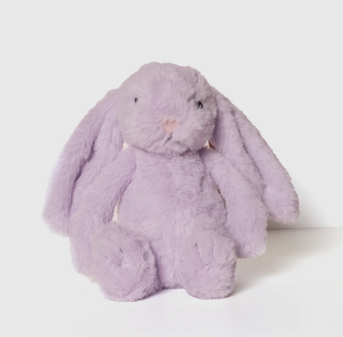 Lavender Bunny –  Pleasant Acres Nursery, Inc., Westerly RI