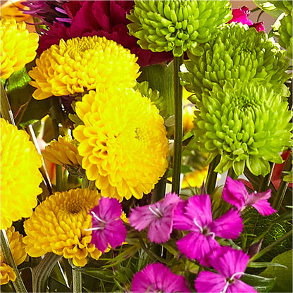 Bold & Bright – A Florist Original –  Pleasant Acres Nursery, Inc., Westerly RI