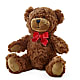 Adorable Plush Bear –  Pleasant Acres Nursery, Inc., Westerly RI