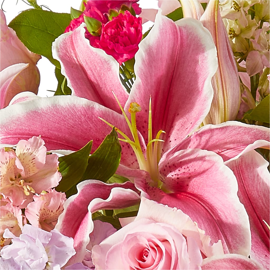 Mauvelous Bouquet –  Pleasant Acres Nursery, Inc., Westerly RI