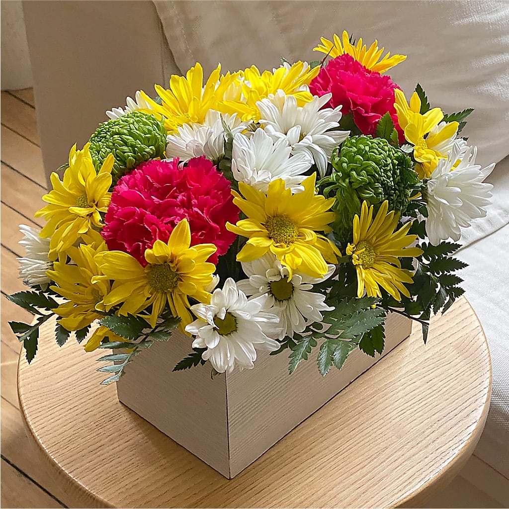 Sorbet Bouquet –  Pleasant Acres Nursery, Inc., Westerly RI