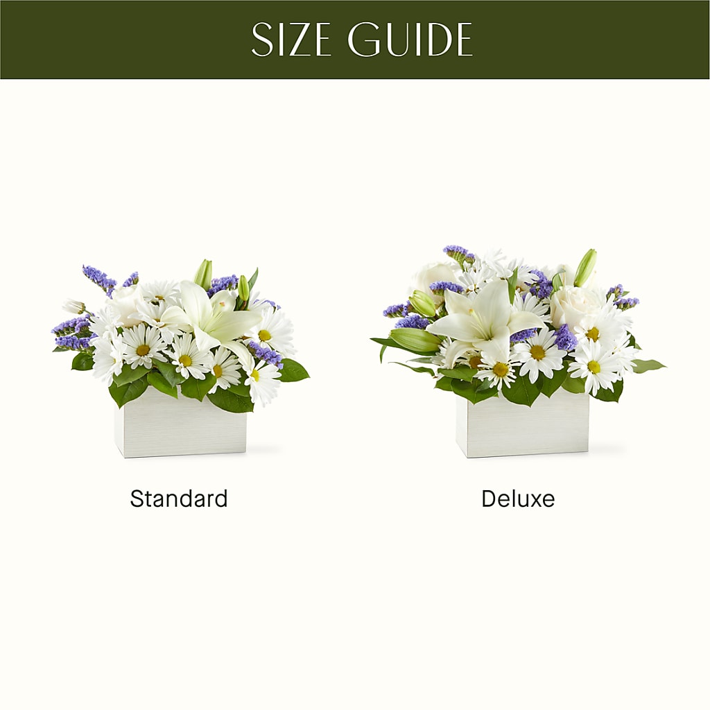Beyond Blue Box Bouquet –  Pleasant Acres Nursery, Inc., Westerly RI