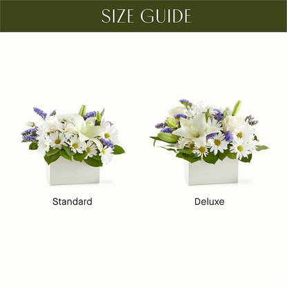 Beyond Blue Box Bouquet –  Pleasant Acres Nursery, Inc., Westerly RI