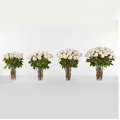 Long Stem White Rose Bouquet –  Pleasant Acres Nursery, Inc., Westerly RI