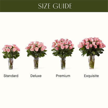 Long Stem Pink Rose Bouquet –  Pleasant Acres Nursery, Inc., Westerly RI