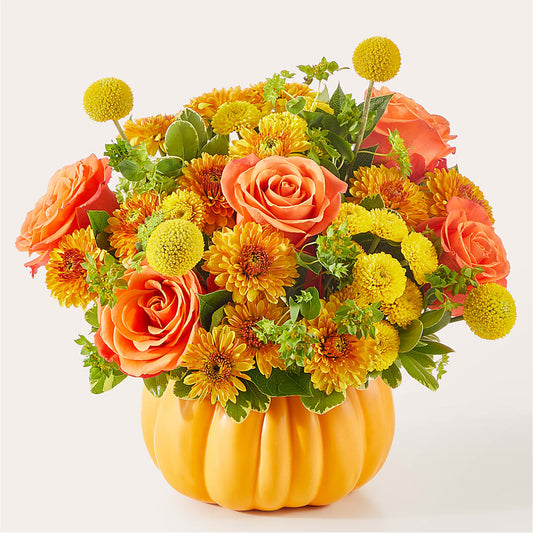 Gourdgeous Pumpkin –  Pleasant Acres Nursery, Inc., Westerly RI