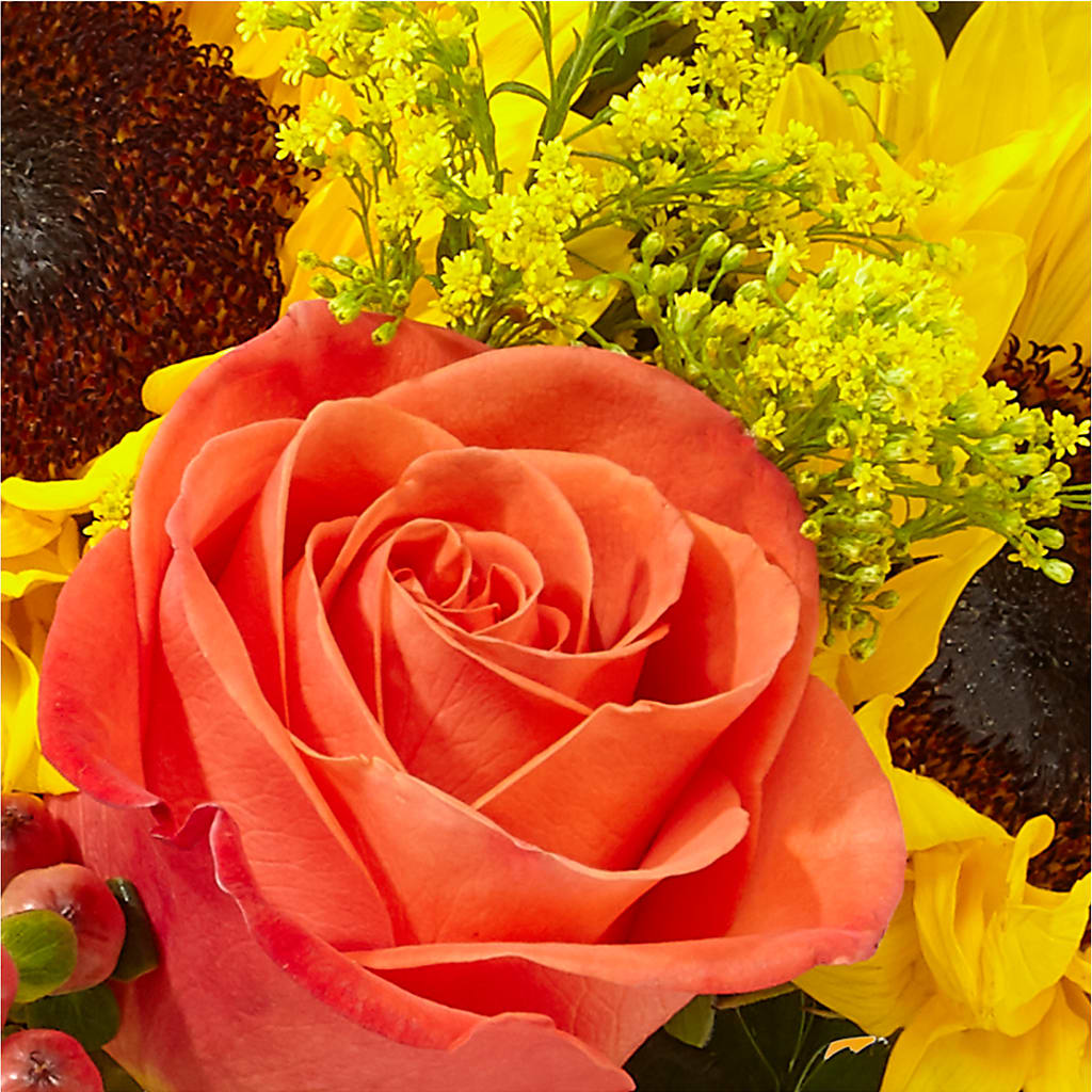 Pick of the Patch Pumpkin Bouquet –  Pleasant Acres Nursery, Inc., Westerly RI