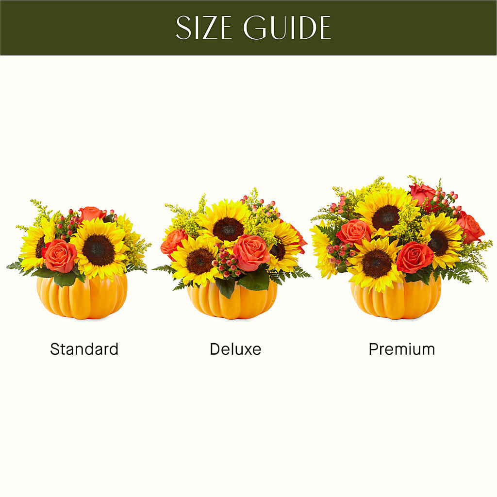 Pick of the Patch Pumpkin Bouquet –  Pleasant Acres Nursery, Inc., Westerly RI