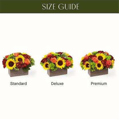 Happy Harvest Garden –  Pleasant Acres Nursery, Inc., Westerly RI