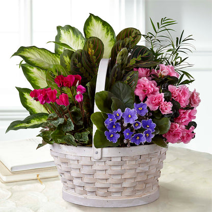 Peaceful Garden Planter –  Pleasant Acres Nursery, Inc., Westerly RI