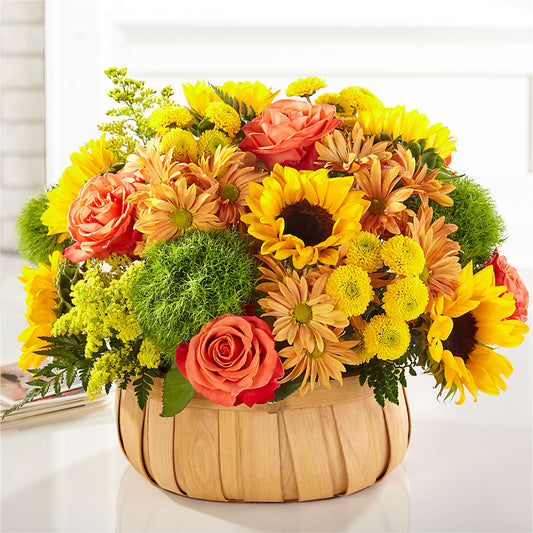 Harvest Sunflower Basket –  Pleasant Acres Nursery, Inc., Westerly RI