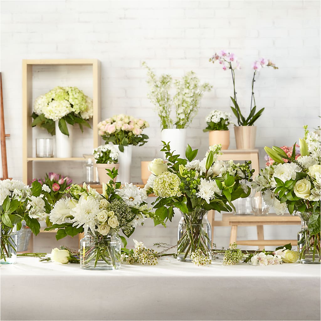 Classic Ivory – A Florist Original –  Pleasant Acres Nursery, Inc., Westerly RI
