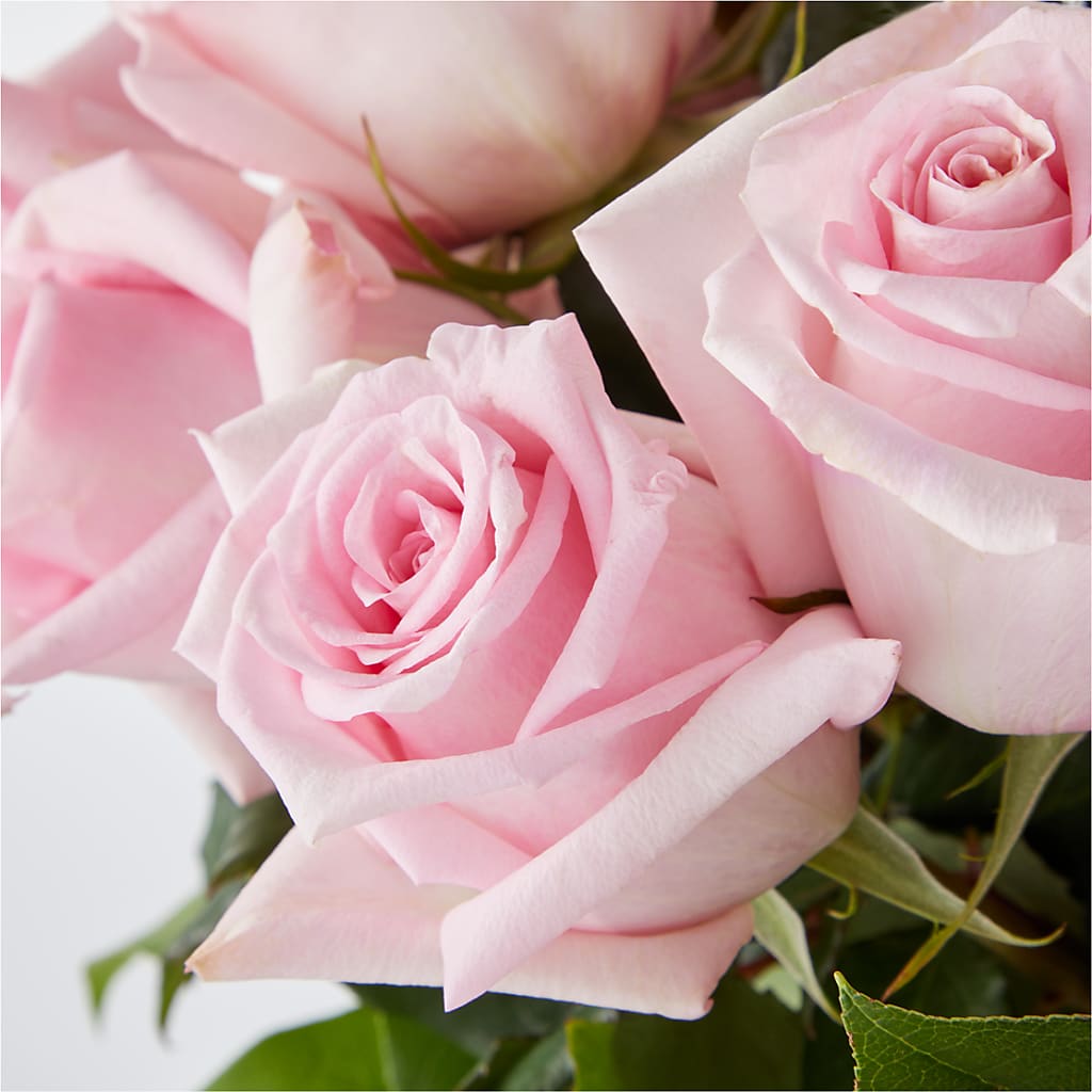 Picture Perfect Pink Rose Bouquet –  Pleasant Acres Nursery, Inc., Westerly RI
