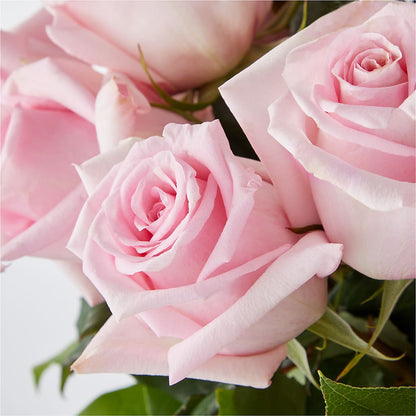 Picture Perfect Pink Rose Bouquet –  Pleasant Acres Nursery, Inc., Westerly RI
