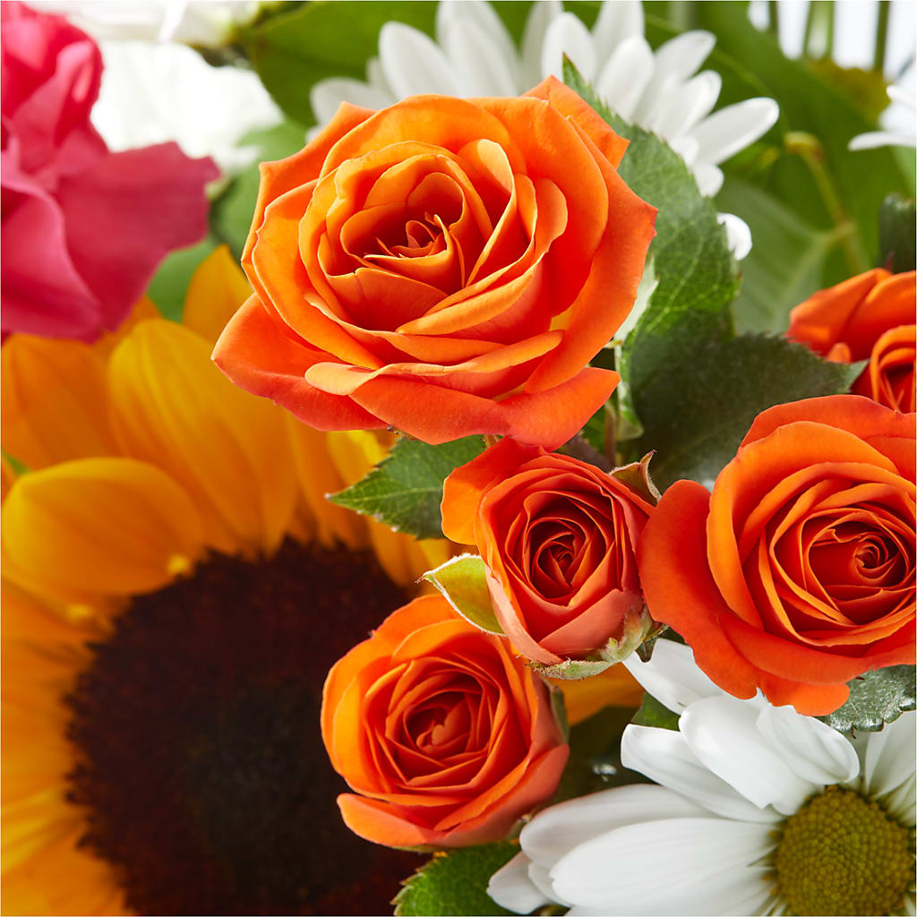 Sun-drenched Blooms Bouquet –  Pleasant Acres Nursery, Inc., Westerly RI