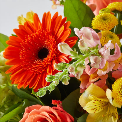 Autumn Sunshine Bouquet –  Pleasant Acres Nursery, Inc., Westerly RI