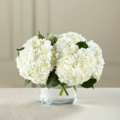 White Hydrangea Bouquet –  Pleasant Acres Nursery, Inc., Westerly RI