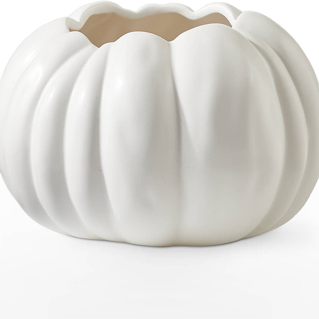 Autumn Air Pumpkin Bouquet –  Pleasant Acres Nursery, Inc., Westerly RI
