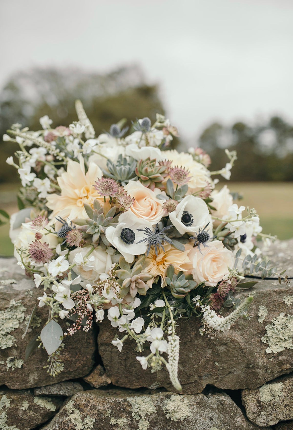 weddingScheduleConsultation_Image_1791497725565.jpeg